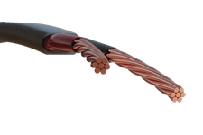 P-Trans cables
